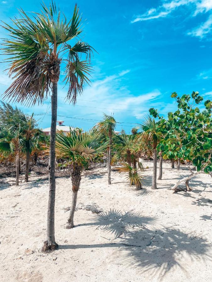 Tropical View Villas Hartswell المظهر الخارجي الصورة